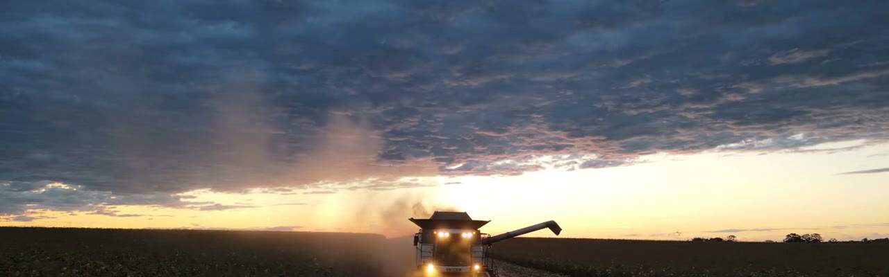 Céu carregado ao pôr do sol sobre a lavoura, com a colheitadeira em operação