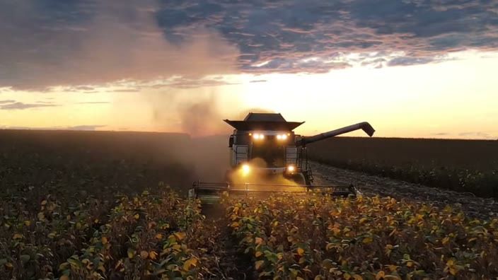 Colheitadeira com os faróis acesos colhendo soja ao pôr do sol